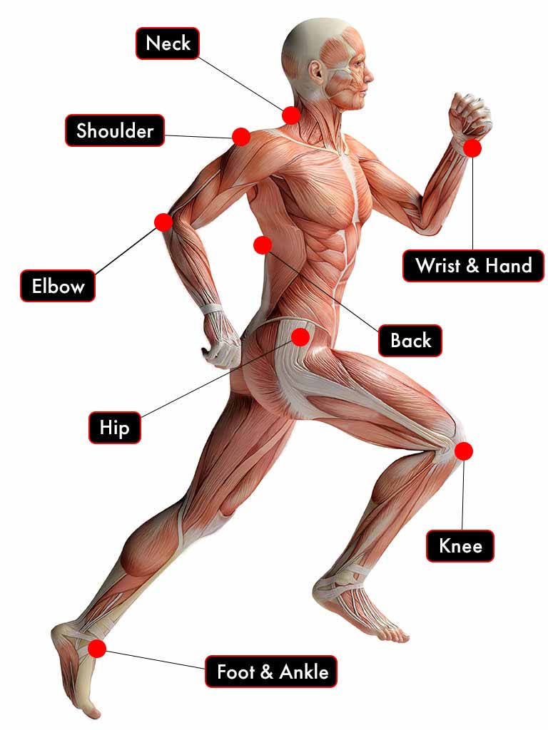Anatomy Shown for Pain Spots